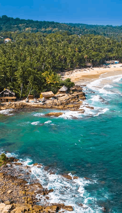 Truly Sri Lanka Blog